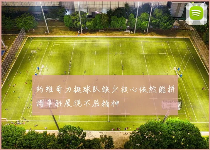约维奇力挺球队缺少核心依然能拼搏争胜展现不屈精神