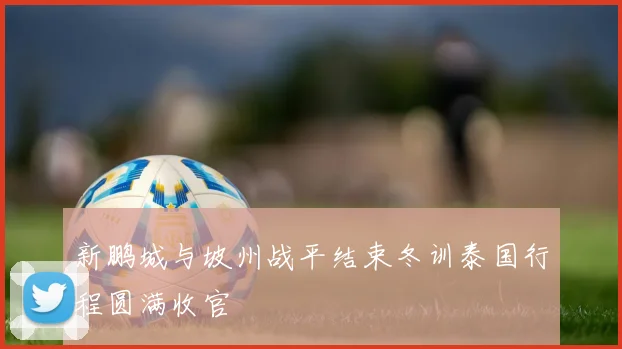 新鹏城与坡州战平结束冬训泰国行程圆满收官