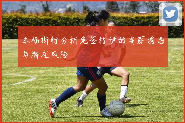 本福斯特分析免签格伊的高薪诱惑与潜在风险